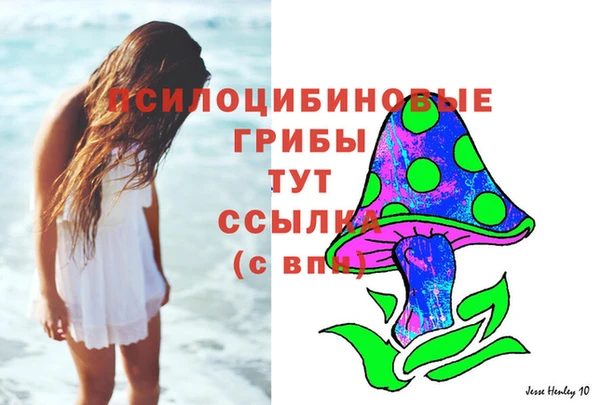 прущие крисы Вяземский