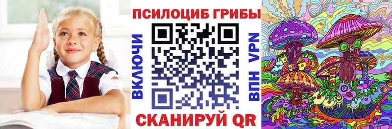 Купить закладки  Макарьев  Галлюциногенные грибы GOLDEN TEACHER 